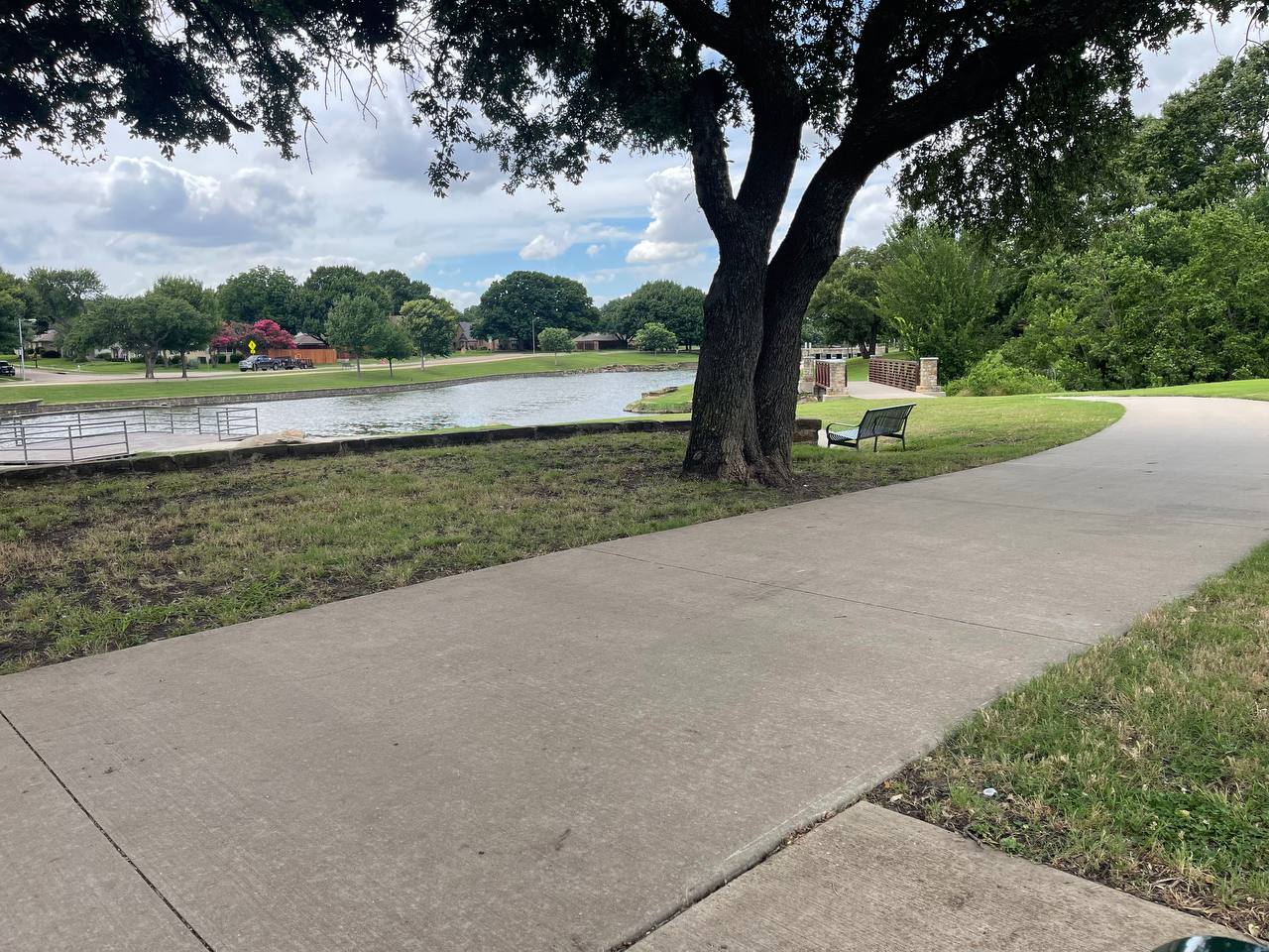 Park scene with trees and calm water